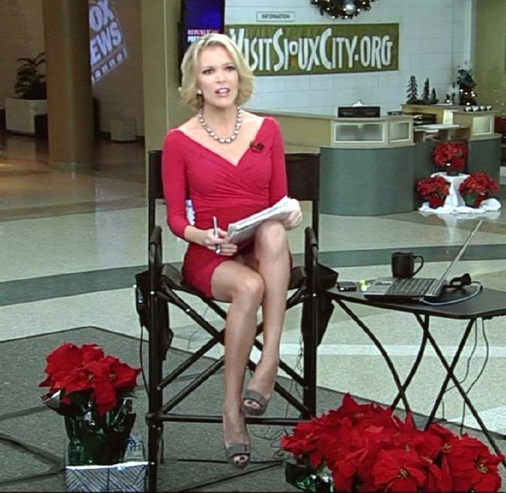 Megyn Kelly Hot 2