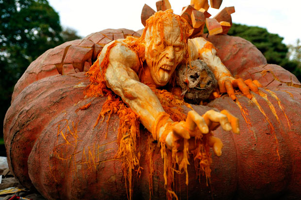 scary-pumpkin_2039556i