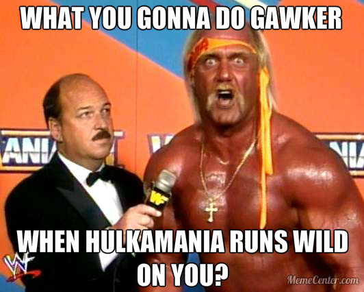 Hulk Hogan Meme 4