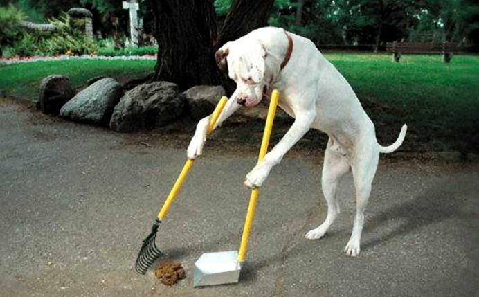 25-Funny-Passive-Aggressive-Dog-Poop-Sig