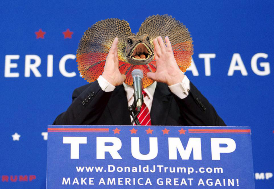 trump-photoshop-6