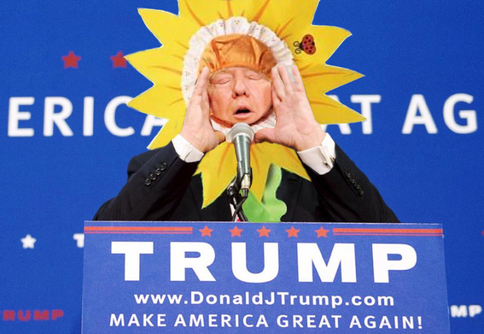 trump-photoshop-7
